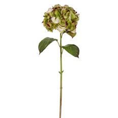 HYDRANGEA LRG 29" GREEN/PURPLE