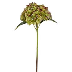 HYDRANGEA SHORT STEM 18" GRN/PURP