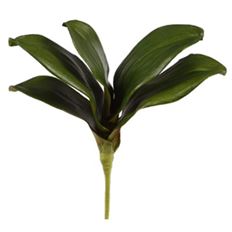 LEAF PHALAENOPSIS 9" GREEN