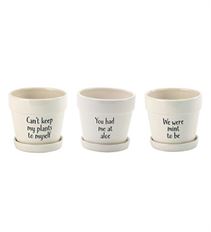 POT WITTY DECAL 4.5" 3/ASST WHITE