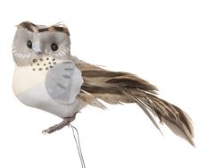 OWL 3.5" GREY FEATHERED 12/PK