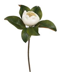 MAGNOLIA CLOSED 19.5" WHITE