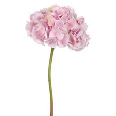 HYDRANGEA 18.5" LAVENDER/WHITE