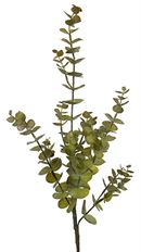EUCALYPTUS STEM 31"