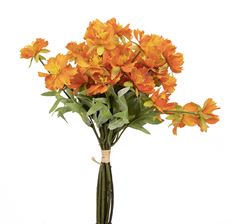COSMOS BUNDLE 14" ORANGE