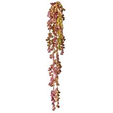 SUCCULENT VINE NAT TCH 19" PLUM/GRN