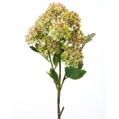 SNOWBALL HYDRANGEA BRANCH 33" GR/PK