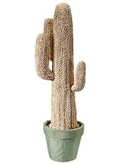 CACTUS 47&quot; POTTED RAFFIA
