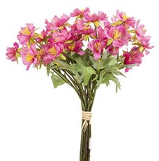 COSMOS BUNDLE 14" HOT PINK