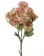 SNOWBALL HYDRANGEA BRANCH 33" PK/GR