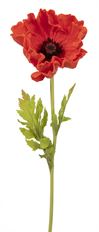 POPPY STEM FRESH TOUCH 25" RED