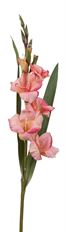 GLADIOLUS SPRAY 33" PINK