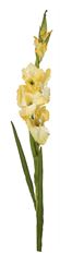 GLADIOLUS SPRAY 41" YELLOW