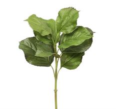 HYDRANGEA LEAF 20" GREEN
