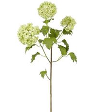 SNOWBALL X3 33" GREEN