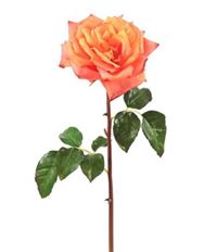 ROSE WESTMINSTER 20.5" YELLOW/PEACH