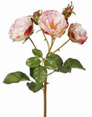 ENGLISH ROSE 21" PINK/RED