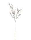 BRANCH BALD TREE BRANCH CAM/WH 81CM