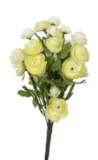 RANUCULUS 13" BUSH GREEN