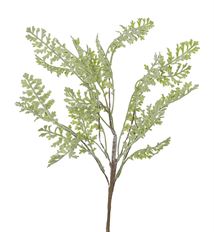 HERB STEM 18" GREEN NAT