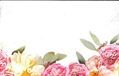 CARD FLOWERS NO SENTIMENT 50/PKG
