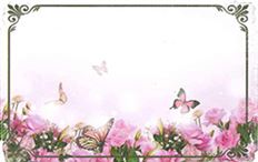 CARD BUTTERFLY NO SENTIMENT 50/PKG