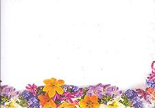 CARD FLOWERS NO SENTIMENT 50/PKG