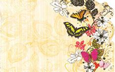 CARD BUTTERFLY NO SENTIMENT 50/PKG