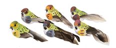 BIRD 3.25" ASSORTED 12/PK