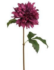 DAHLIA GARDEN DRIED LOOK 19" ORCHID