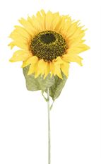 SUNFLOWER 32" YELLOW