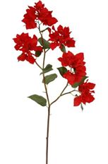 BOUGAINVILLEA 34.5" RED
