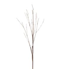 TALLOW BRANCH 36" CLEAR/BROWN