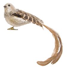 BIRD ORN 4X10" 2ASST CHAMP NAT