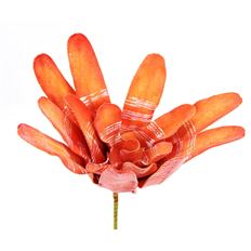 BROMELIAD STRIPE PLANT 17&quot; SUNSET