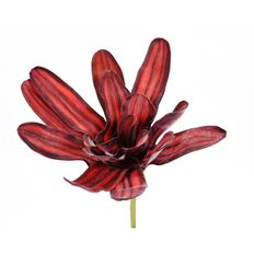 BROMELIAD 17&quot; RED BURG