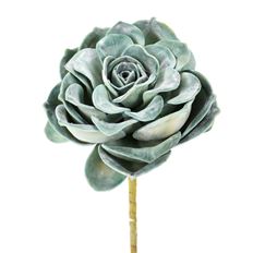 SUCCULENT ROSE 10" GREEN/BLUE