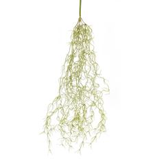 GRASS AIR VINE 26" DUSTY