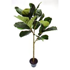 FIDDLE LEAF FIG 48" TREE