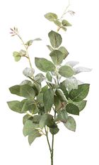 ROSE LEAF SNOW 31" GRN/WHT