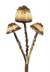 MUSHROOM PICK X3 GLITTER 12" NAT