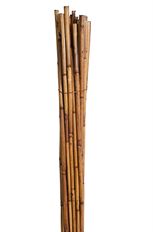 RIVER CANE 3.5' WALNUT 25/PK