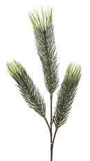 FOXTAIL PINE X3 39" DARK GREEN