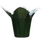 SPEED COVER 4.5" MOSS GREEN 25/PK