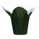 SPEED COVER 8" MOSS GREEN 25/PK