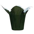 SPEED COVER 10" MOSS GREEN 25/PK