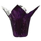 SPEED COVER 8" PURPLE 25/PK