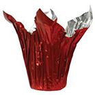 SPEED COVER 10" RED 25/PK