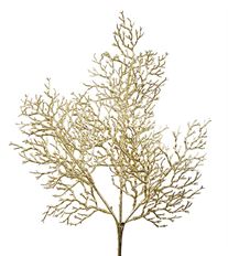 CORAL SPRAY 25" GOLD/CHAMP