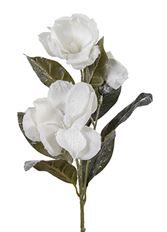 MAGNOLIA SNOW 32"X3 WHITE